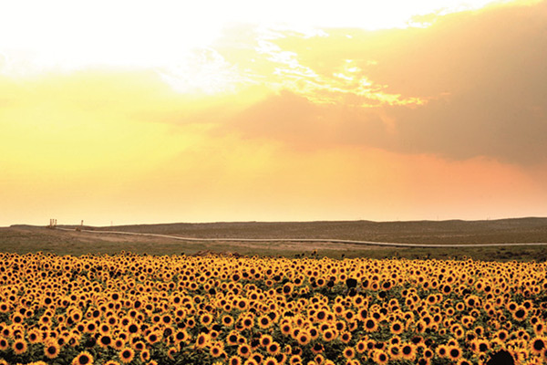 西气东输三线管道工程(甘肃段)
